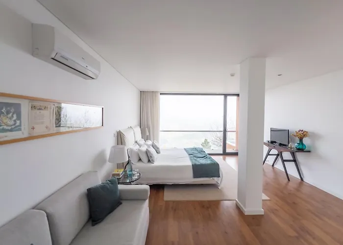 Spacious With Private Pool & Garden In Douro, By Hopstays Villa *